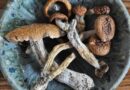 magic mushroom