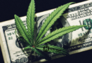 cannabis jobs