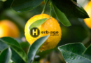 limonene