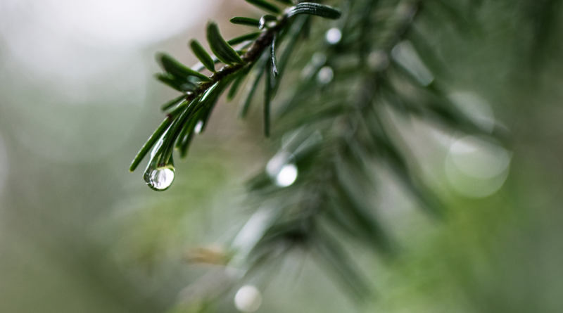 pinene
