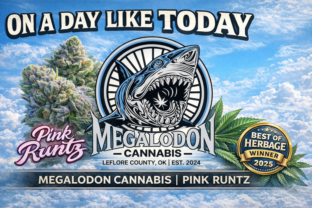 On a Day Like Today | Megalodon Cannabis | Pink Runtz • Herbage
